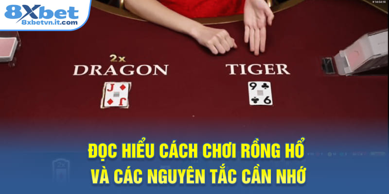 Đọc hiểu cách chơi Rồng Hổ và các nguyên tắc cần nhớ