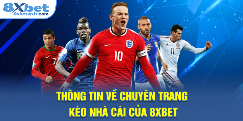 Thông tin về chuyên trang kèo nhà cái của 8XBET